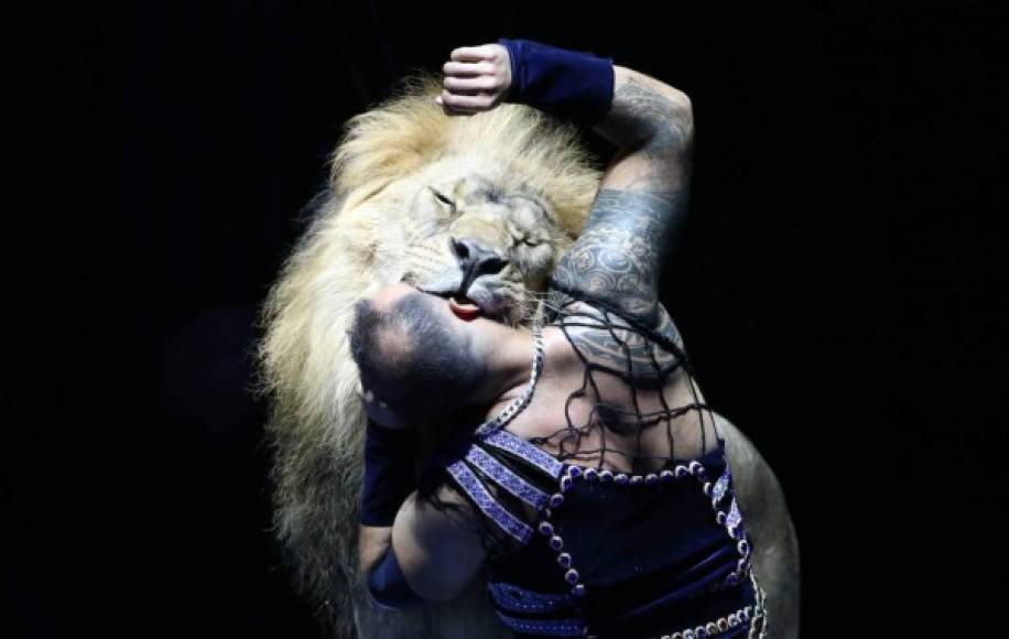 Bielorrusia. En la boca del León. Un artista realiza una rutina con un león durante el primer Festival de Arte de Circo de Minsk.