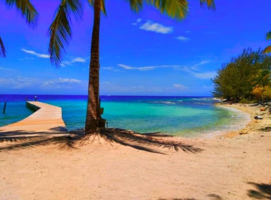 Utila, Roatán y Guanaja tienen las mejores playas del caribe hondureño, sus hermosas aguas turquesas hipnotizan a cualquiera. Te invitamos a conocer las mejores 11 playas y más populares de las tres Islas de la Bahía. <br/>