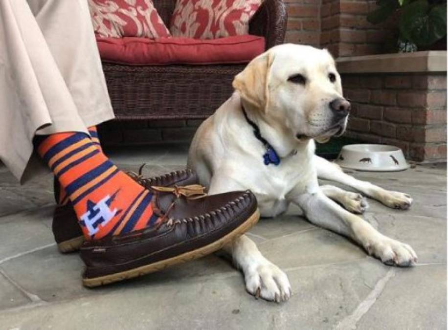 Sully es un perro de ayuda altamente entrenado que tras el sepelio del exmandatario George Bush regresará al servicio para ayudar a otros veteranos e irá al centro médico militar Walter Reed.<br/>