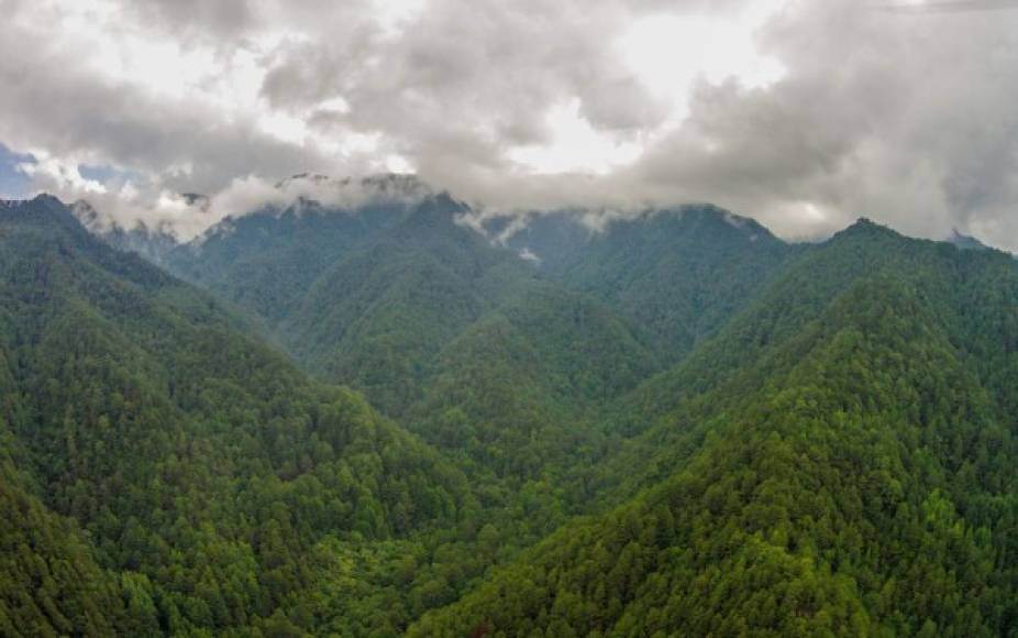 La montaña de Celaque es una reserva de biosfera reconocida por la Unesco.