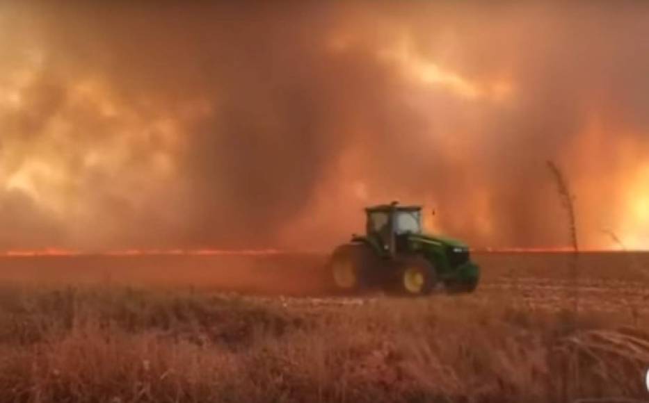 Los focos de incendios forestales en Brasil han aumentado este año 83% en comparación con 2018, debido a las quemas de la región amazónica potenciadas por la temporada seca.
