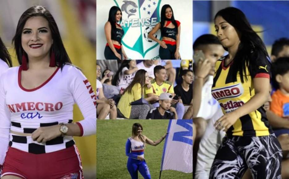 La jornada 15 del Torneo Clausura 2019 contó con un ambientazo y bellas chicas en los estadios del fútbol hondureño.