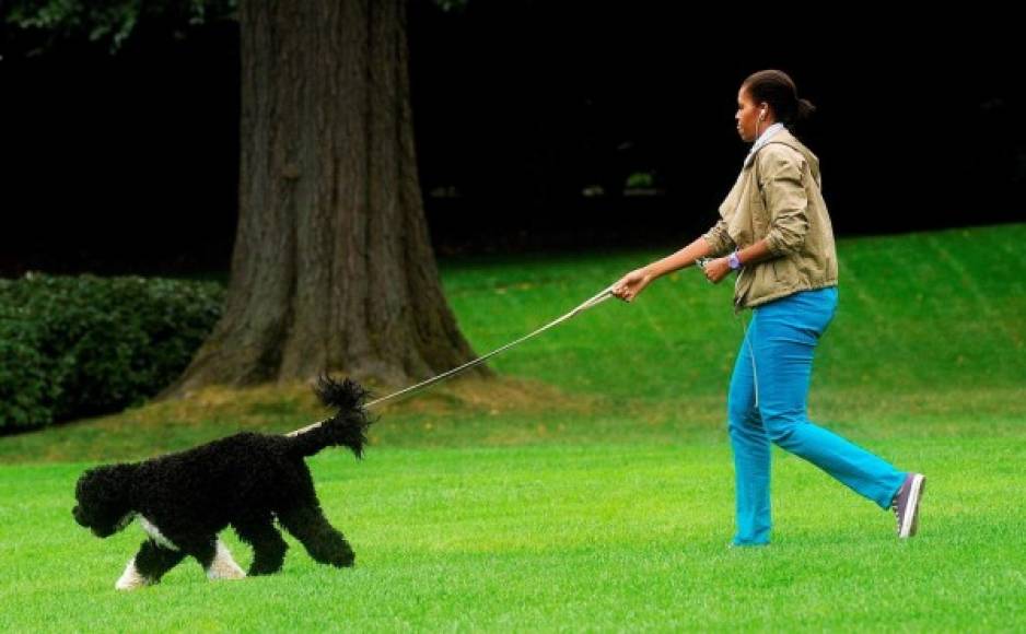 'También sabemos -añadió Michelle- que no somos los únicos que queríamos a Bo y damos las gracias por el amor que todos ustedes le mostraron durante los años. Por favor, abracen un poquito más fuerte a los miembros peludos de su familia esta noche y acaricien su barriguita de nuestra parte'.