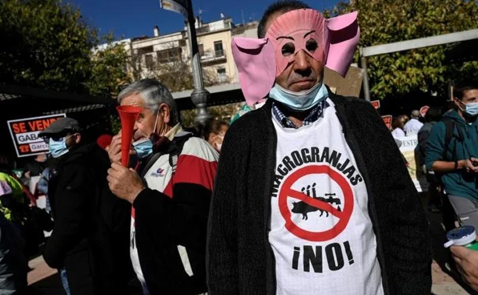 La producción de carne en España, un “tabú” que desata la polémica