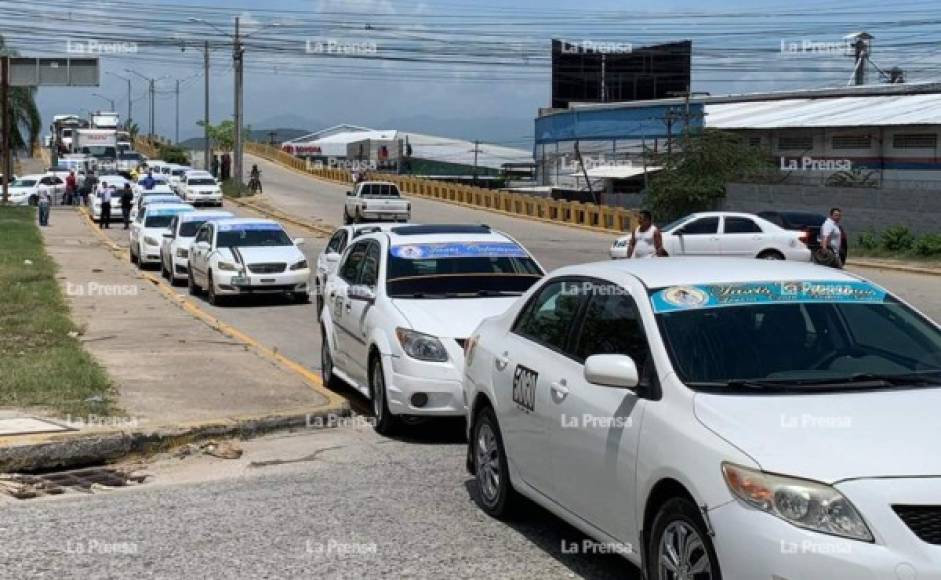 Los taxistas de varios puntos se pusieron frente a las oficinas de Vialidad y Transporte de la Alcaldía sampedrana.