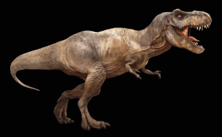 Tyrannosaurus Rex, doce metros y pesaba nueve toneladas.