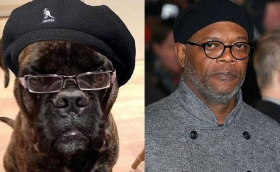 Samuel L. Jackson