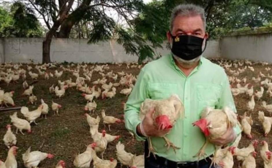 Consciente de la crisis sanitaria y económica, generada por la pandemia del COVID-19, el empresario regaló 3,000 gallinas de su granja a los pobladores de varias colonias de San Pedro Sula, aledañas al sector en donde tiene una propiedad.