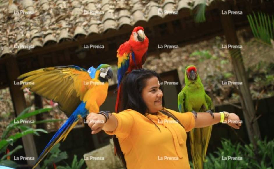 Es apreciada por familias que buscan un contacto cercano con la naturaleza.