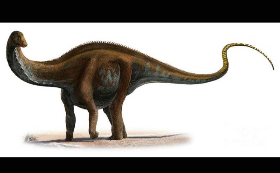Apatosaurus, uno de los animales más grandes.