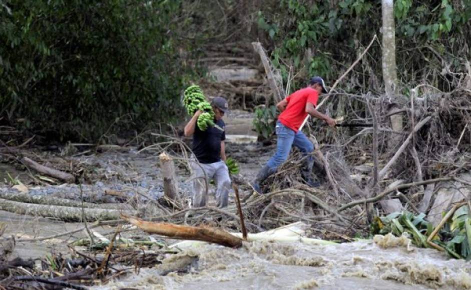 “Estas bandas vienen con una carga fuerte de lluvias, están saturando los ríos y causan afectaciones de desbordamientos en los ríos”, dijo a periodistas el director de la Comisión Permanente de Continencias (Copeco), Max Gonzales.