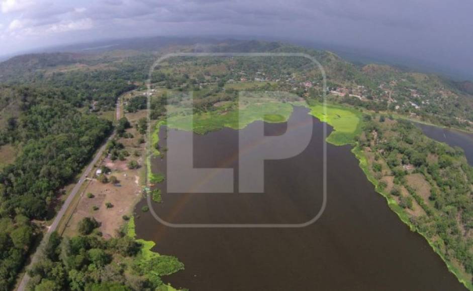 Hace un par de años asi se miraba la laguna de Jucutuma. A un costado de una calle que de San Pedro Sula conduce a Choloma, la laguna era un espejo natural que distraía la vista de los viajeros.