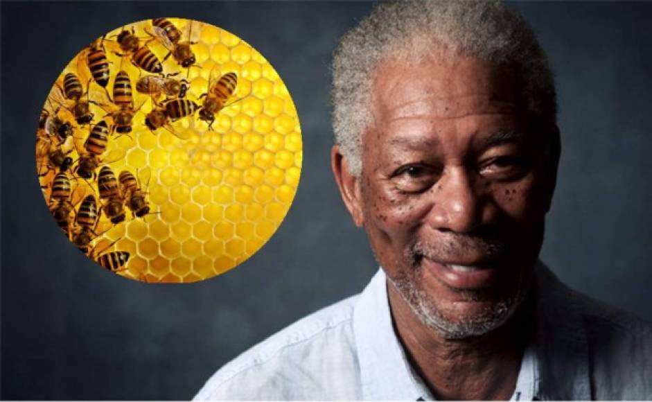 Freeman se preocupa por el medioambiente y, sobre todo, por la desaparición de las abejas. Por ello ha convertido su rancho de 124 hectáreas en un santuario para estos insectos polinizadores. <br/>