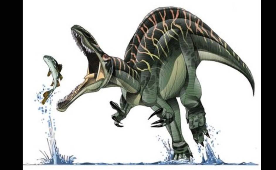 Suchomimus, el «Imita-cocodrilos».