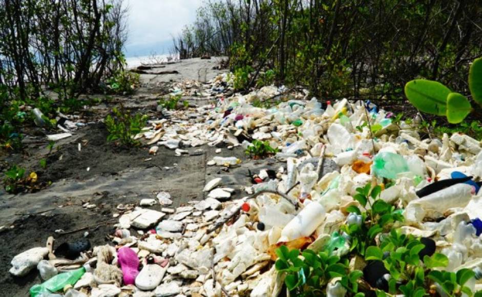 Las costas hondureñas siguen siendo contaminadas por desechos que arrastra el río Motagua desde Guatemala.