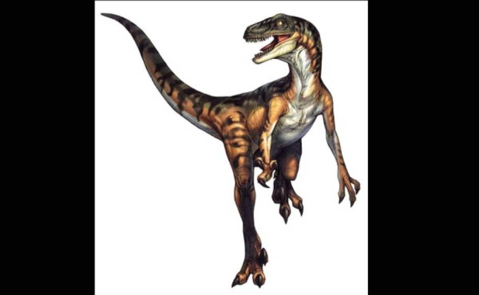Velociraptor, el dinosaurio más inteligente.