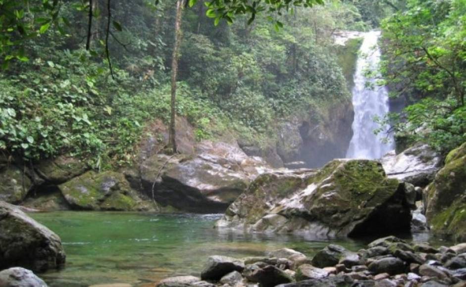 Especialistas se trasladaron este domingo a Pico Bonito, en la región caribeña de Honduras, por una extraña emanación de humo blanco. Foto: Honduras travel<br/><br/>