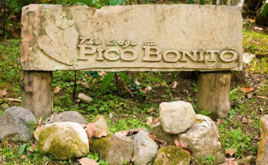 Internarse en Pico Bonito es una de las mayores aventuras que se pueden vivir.