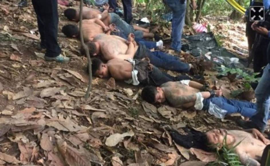 Eran 11 miembros de la estructura criminal MS-13 que fueron capturados por agentes de la Policía Nacional y de la Fuerza Nacional Antimaras y Pandillas. Uno de ellos falleció.