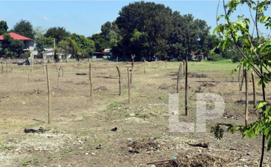 En el documento, la Fenafuth señala que se están poniendo lotes del terreno del estadio a la venta.