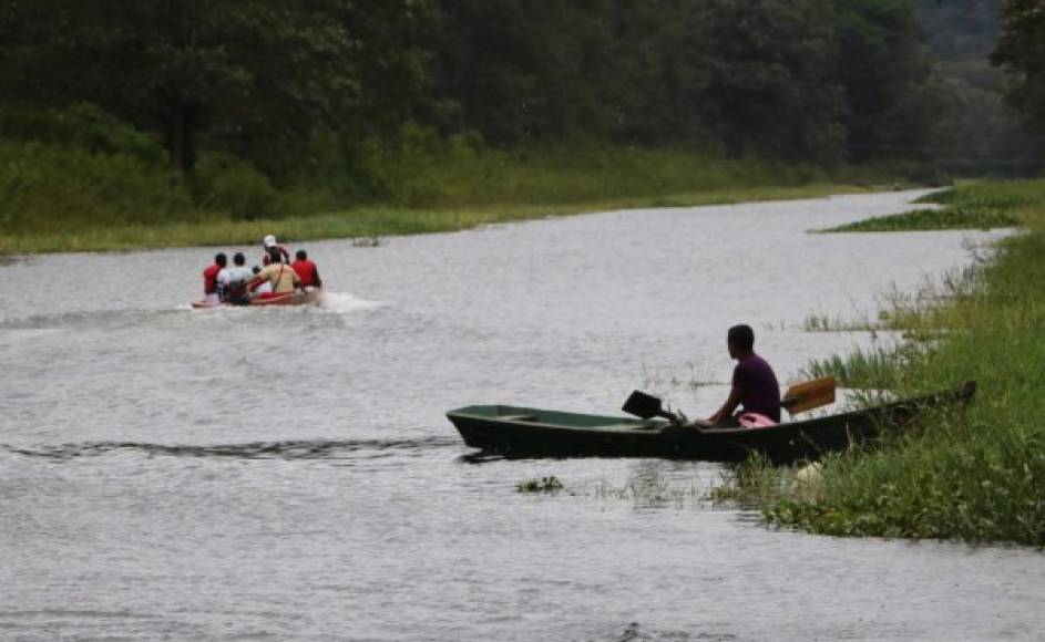 Otras de las actividades que disfrutan mucho las personas que visitan el Lago de Yojoa, es El kayak, el cual es un excelente deporte si viajas solo, en grupo o con tu familia y amigos.Hay quienes utilizan el tiempo dentro del kayak para leer, o simplemente para observar la naturaleza a plenitud.<br/>