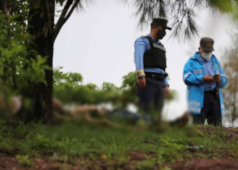 Miembros de la Policía Nacional de Honduras trabajan en la escena donde cuatro personas fueron asesinadas este viernes cerca a un barrio marginal al oriente de Tegucigalpa. EFE