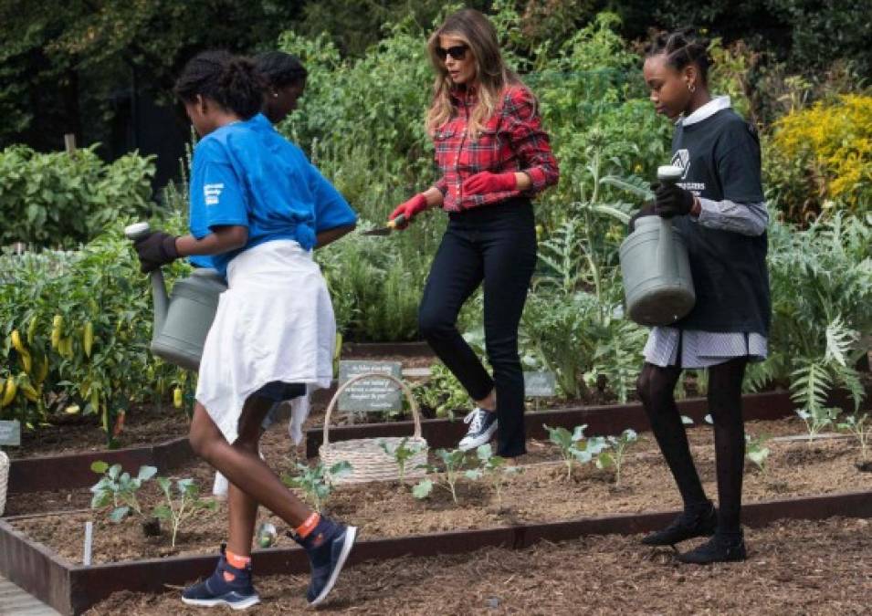 Esta iniciativa 'permite a los niños a aprender, al aire libre, lo importante que es comer productos buenos para la salud, mientras conocen la Casa Blanca y su rica historia', expresó Melania.