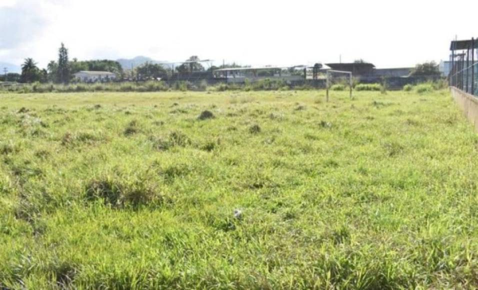 Así de terrible se encuentra el terreno de las acciones en el Alfredo León Gómez de Tela.