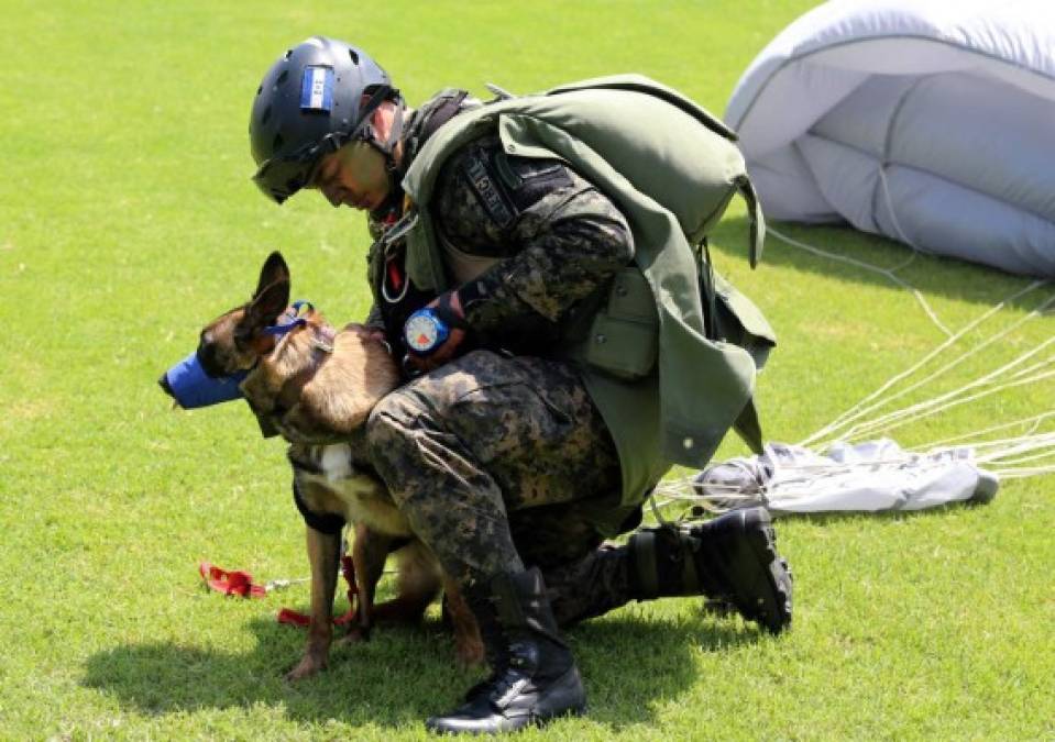 Un militar se prepara con su compañero can para mostrar sus destrezas.