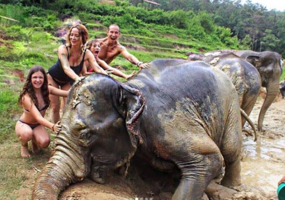 La familia Rubín Legarreta alimentó y se bañó junto a los elefantes en el lodo.