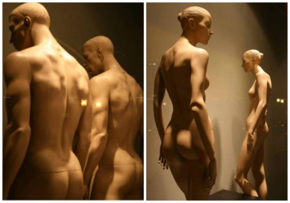 Agalmatofilia: es la atracción sexual por estatuas o maniquíes desnudos. Es una actividad en la que puede realizarse contacto sexual real. Se pueden ver casos donde busquen satisfacerse sexualmente en lugares públicos como plazas donde residen perfectas efigies.<br/>