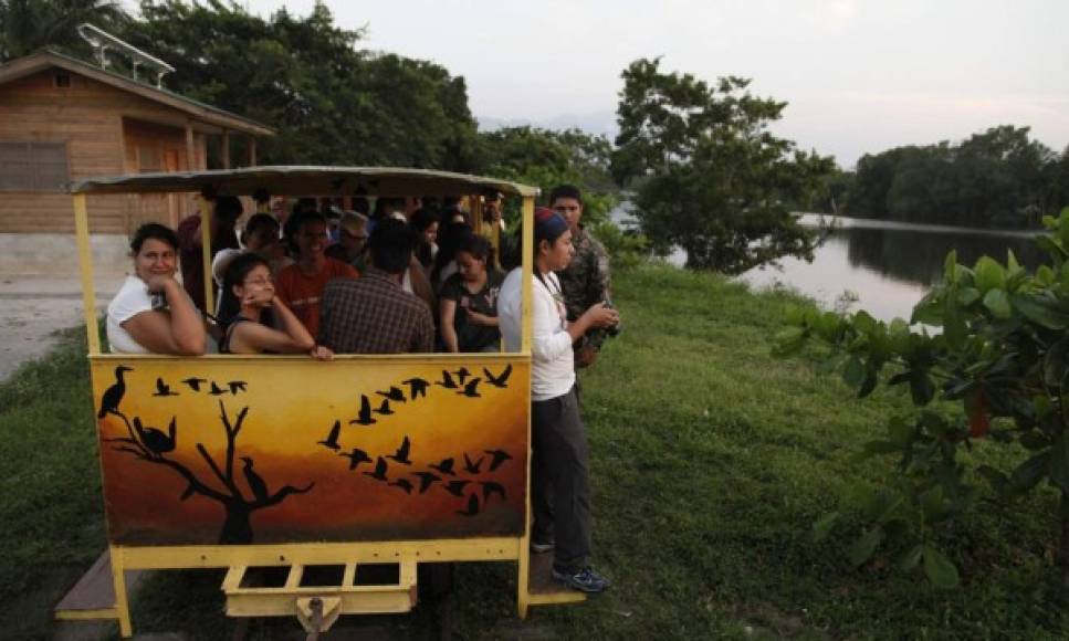 Además, puede visitar el Refugio de Vida Silvestre Cuero y Salado, donde la vida sostenible y la historia del ferrocarril se conjugan con el escenario natural, convirtiéndolo en un destino referente en la conservación de la flora y fauna en el litoral atlántico.