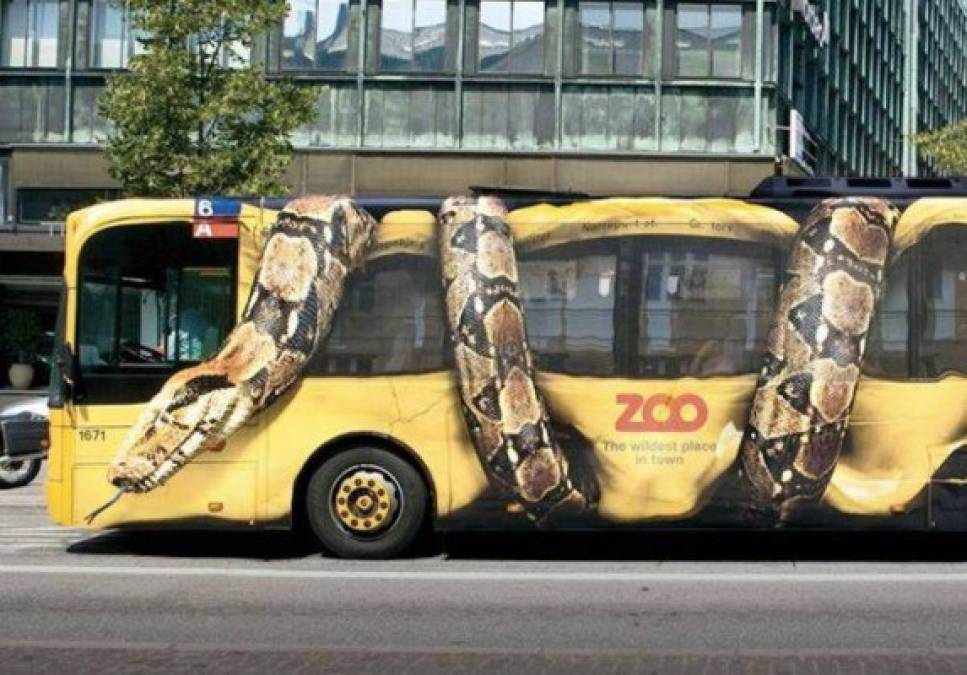 Atraer visitantes al zoológico nunca fue tan interesante como con esta culebra que aplasta con su cuerpo un bus.