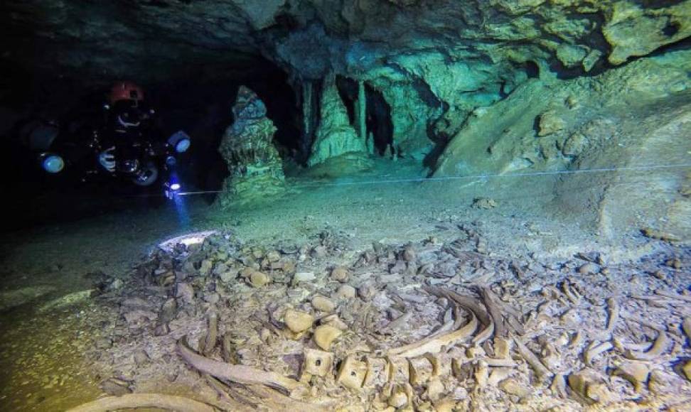 Las investigaciones en las cuevas de Sac Actun, el sistema de cavernas inundadas más grande del mundo, en la Península de Yucatán, han revelado un centro de peregrinación ritual y posible vínculo entre los habitantes prehistóricos de la zona con la cosmología maya, anunció ayer el arqueólogo Guillermo de Anda.