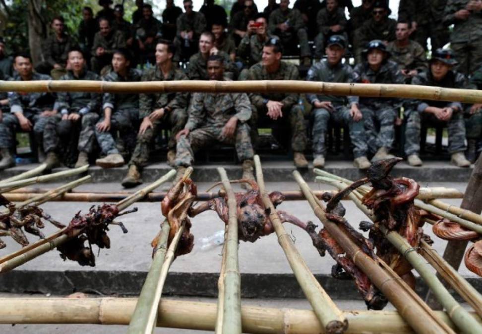 Los marines observan una parrilla con varios animales de la selva en un campamento militar tailandés en el distrito de Sattahip.