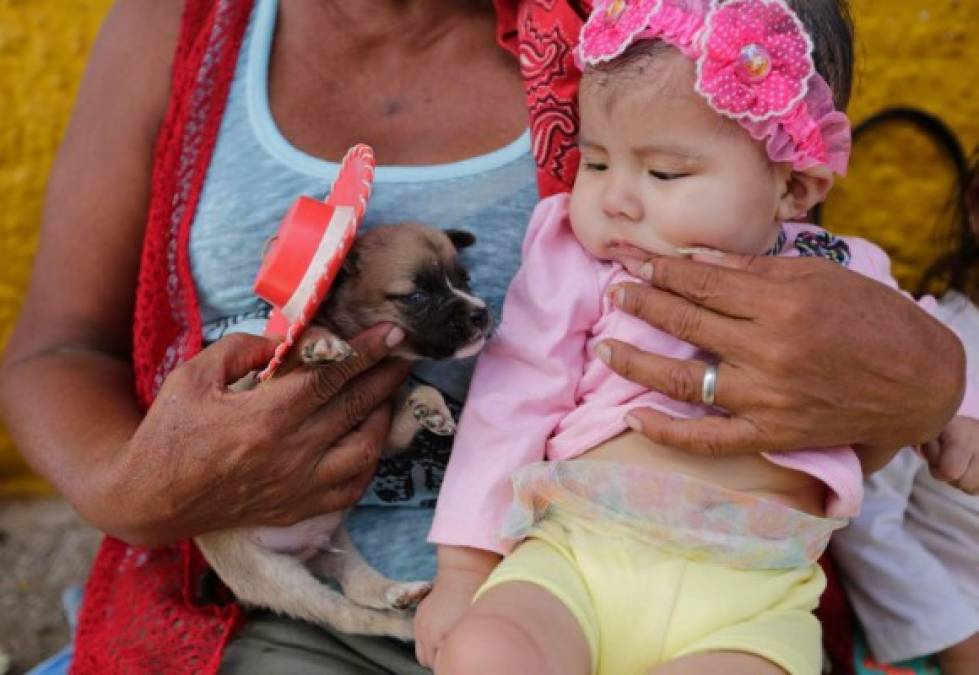 Las mascotas, en su mayoría perros de raza terry, doberman, pitbull, cockers, pekineses, pastores alemanes o indios (mezclados), desfilaron por las calles al son de chicheros hasta la iglesia María Magdalena del barrio indígena de Monimbó, de Masaya -30 km al sur de Managua- para agradecer al santo por aliviar sus enfermedades.