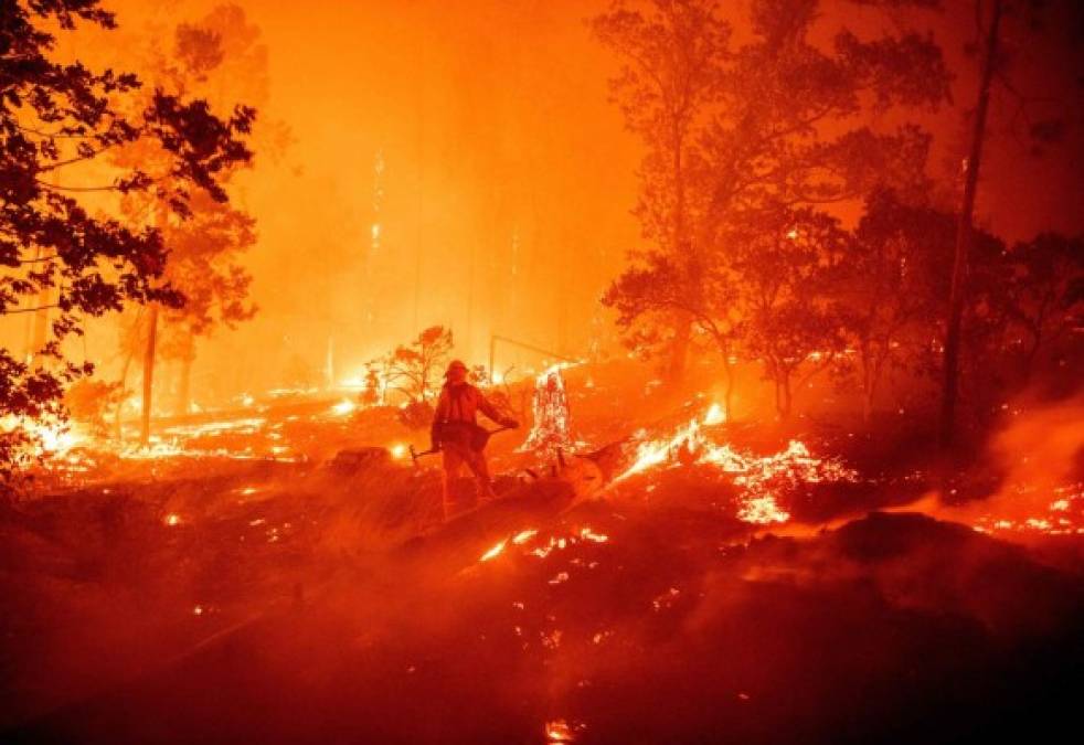 Al menos 200 personas fueron evacuadas con helicópteros militares tras ser sorprendidas por un incendio forestal mientras acampaban en una reserva natural ubicada en el norte del estado de California.