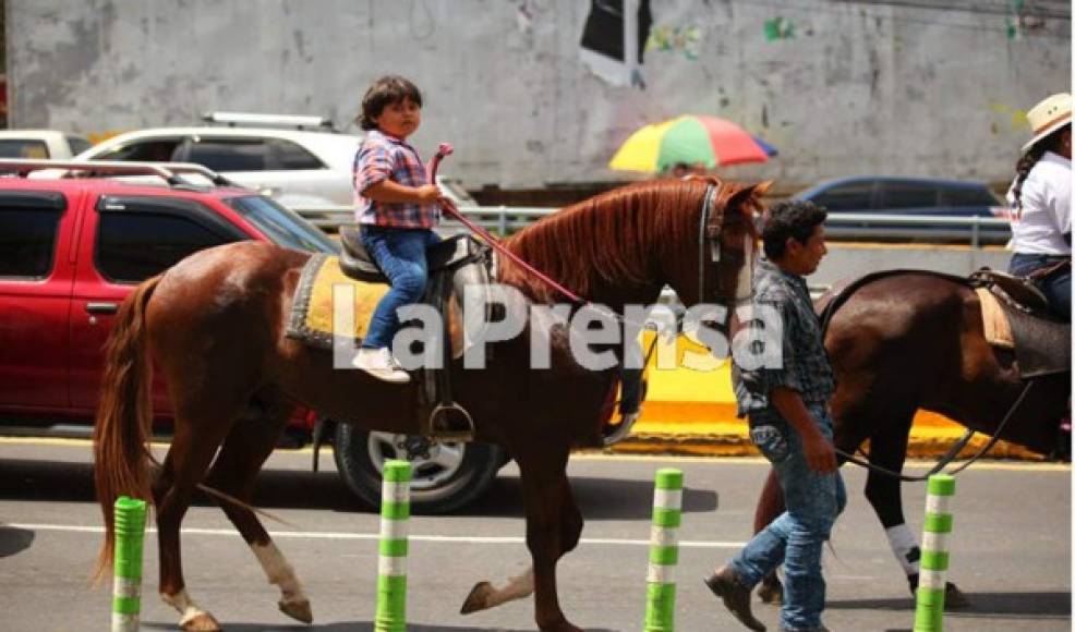 Adultos y niños montaron caballos de distintas razas.