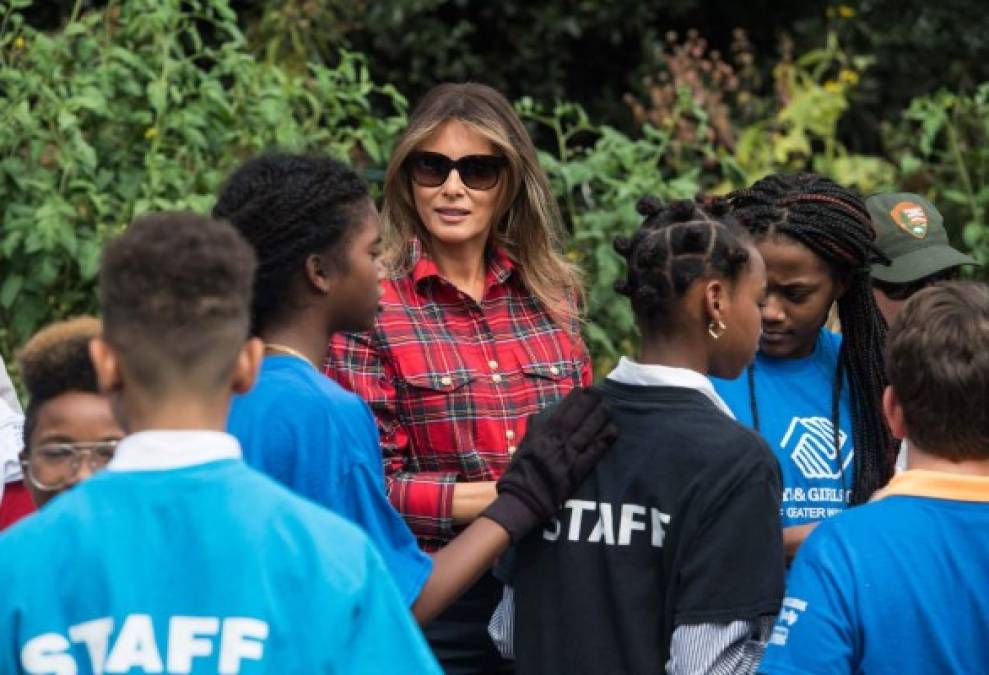 Vestida de camisa a cuadros, pantalones vaqueros, zapatillas deportivas y guantes de jardinería rojos, la esposa de Donald Trump cosechó y plantó vegetales.