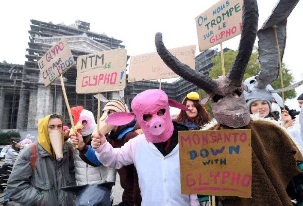 Bruselas. Protesta contra los Transgénicos <br/>Cientos de personas protestaron en Bruselas contra el uso de transgénicos y químicos de la compañía estadounidense Monsanto en la agricultura.