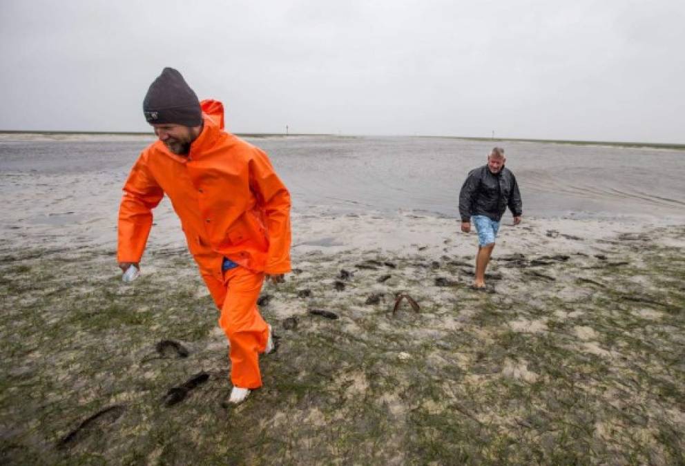 CRAWFORDVILLE, FL - SEPTEMBER 11: Mike Getman (L) and Rob Beaton, residents of the north Florida community of Shell Point Beach, walk the newly exposed Gulf bottom as Hurricane Irma pulls the water out September 11, 2017 in Crawfordville, Florida. Hurricane Irma made landfall in the Florida Keys as a Category 4 storm on Sunday, lashing the state with 130 mph winds as it moved up the coast. Mark Wallheiser/Getty Images/AFP<br/><br/>== FOR NEWSPAPERS, INTERNET, TELCOS & TELEVISION USE ONLY ==<br/><br/>