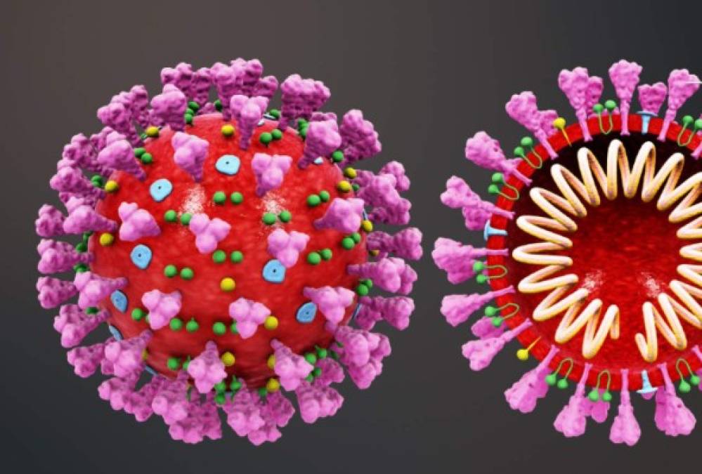 ─ El vuelo del virus - <br/><br/>Es engañoso afirmar que, tras un estornudo, el virus vuela alrededor de tres metros antes de caer al suelo.<br/><br/>La recomendación de la OMS es mantener al menos un metro de distancia entre las personas, particularmente aquéllas que tosan, estornuden y tengan fiebre.