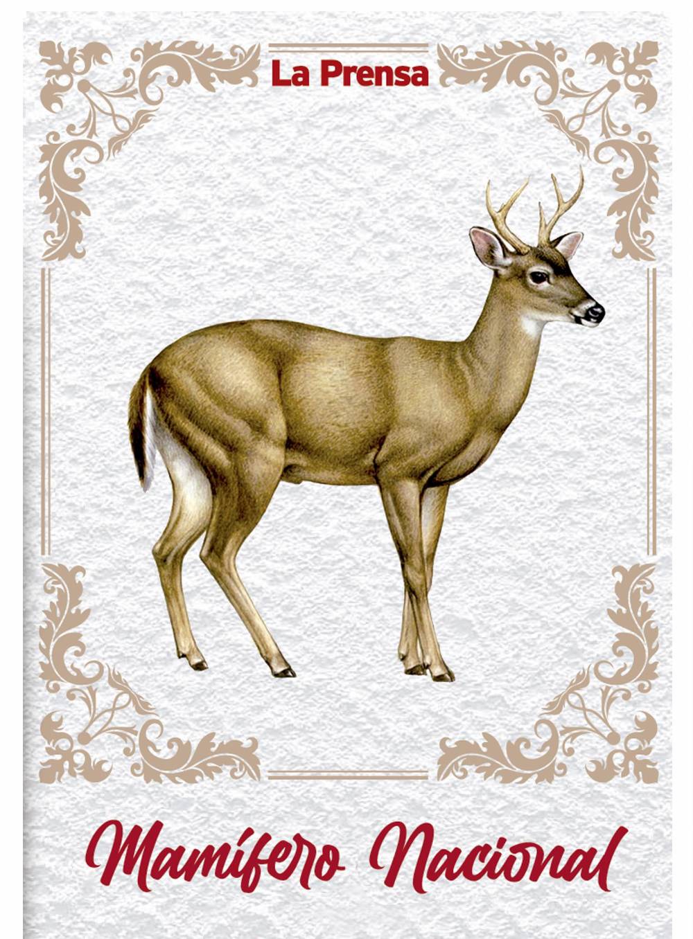 Mamífero Nacional