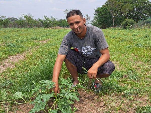 Un productor de hortalizas supervisa su plantación de ayotes