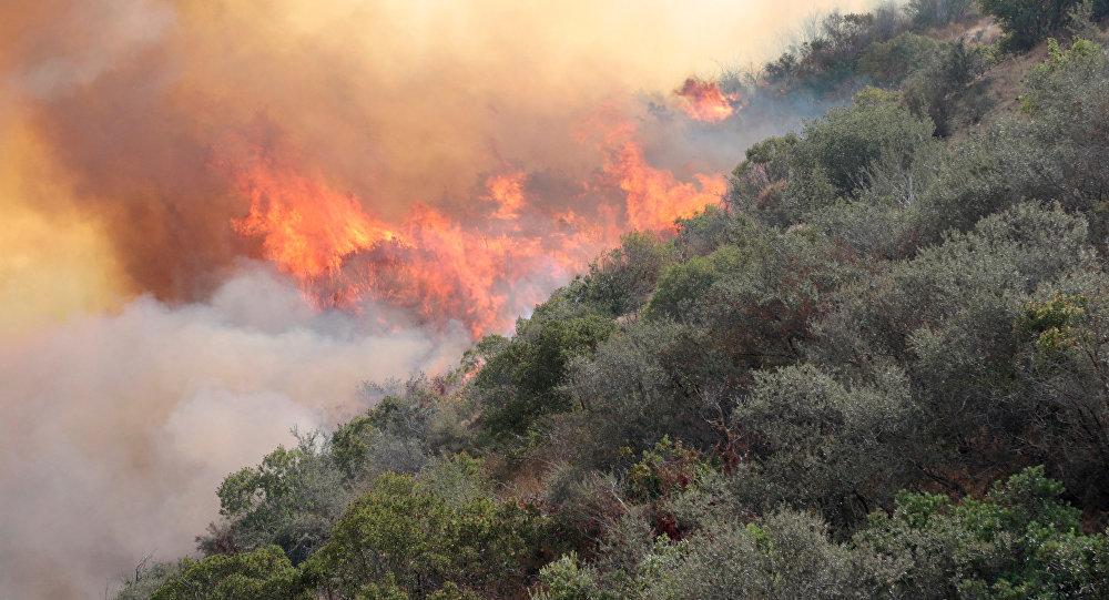 Incendios han afectado severamente a los bosques hondureños en 2022.