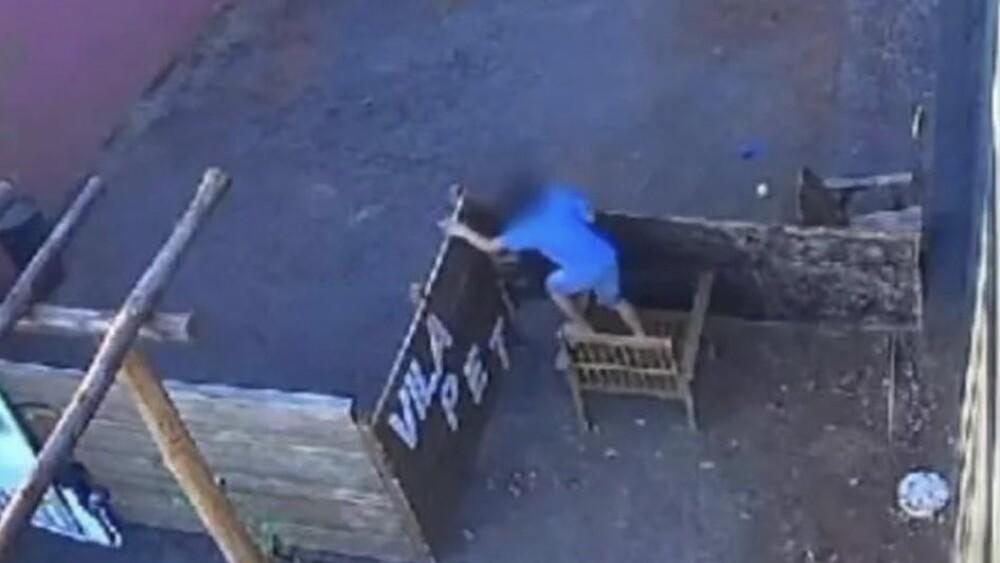 El menor saltó el muro del hospital veterinario antes de cometer el crimen.