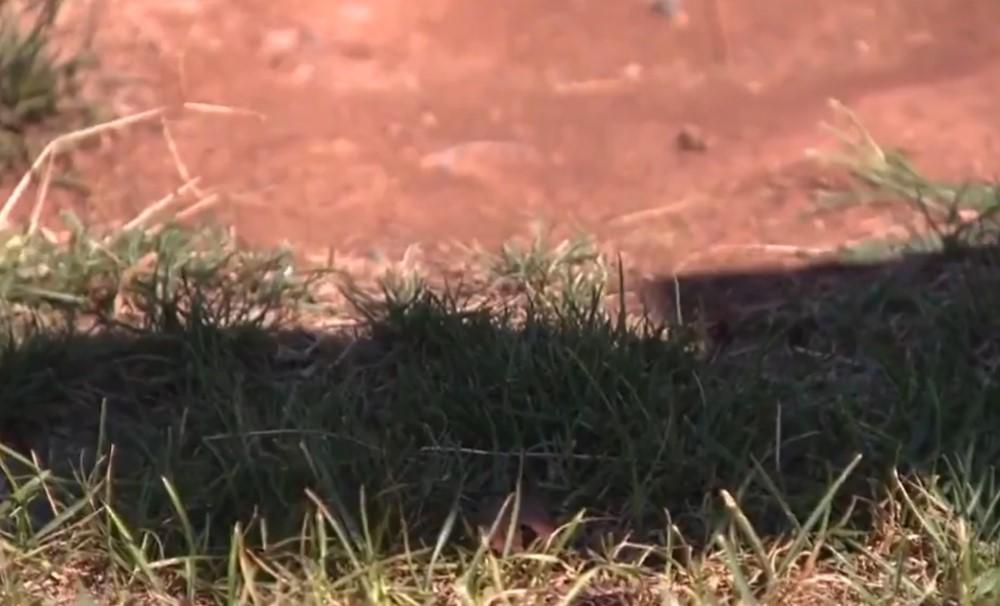 Álvaro y la espeluznante forma en que mató a su hermanita de ocho meses en Virginia