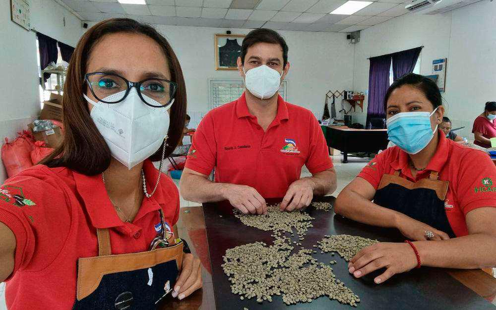 Crearán escuela mundial de café de excelencia en Honduras