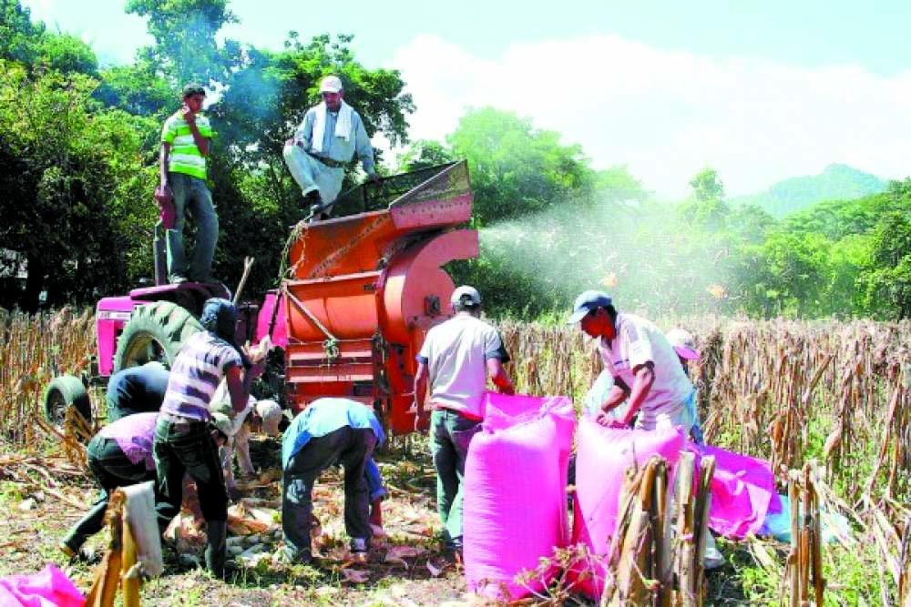 Proyectan crecimiento del PIB de Honduras entre 3.5% y 4.5% este año