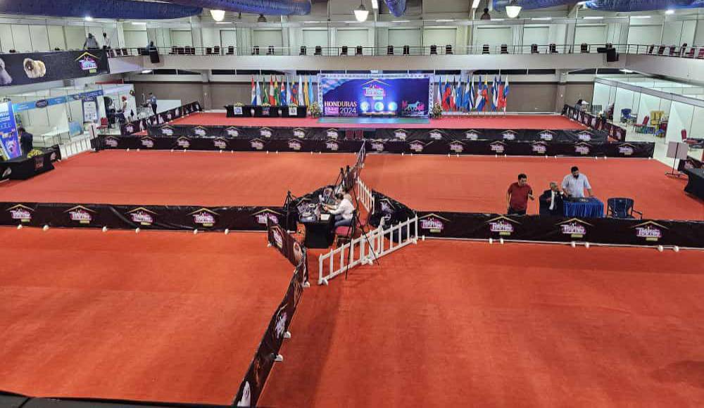 Las categorías se dividieron por raza y edades. Cada una premio a los primeros lugares en la categoría cachorro, joven y adulto.